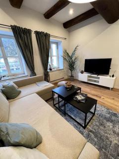 Donaublick Apartment - Passavia - 6