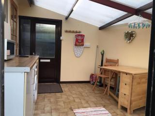 Riverside Chalet in heart of Lampeter, West Wales - Lampeter - 3