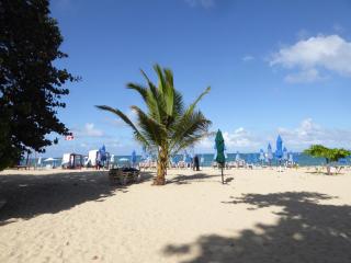 CortLang Vacation Rentals, El Pueblito - San Felipe de Puerto Plata - 2
