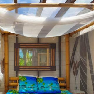 Caraibes insolite - Sainte-Luce - 8