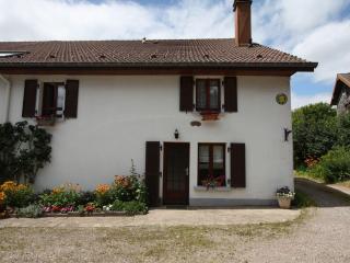 Gîte spacieux et confortable au Val d'Ajol, à proximité de Plombières-les-Bains, animaux de ferme ! - FR-1-589-139 - Le Val-dʼAjol - 5