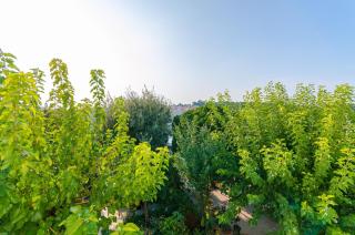 Apartments Zarko - 1