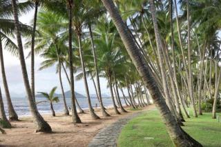2 bedroom Apartment Palm Cove - Palm Cove - 2