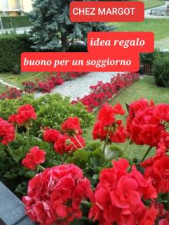 Immagine 9