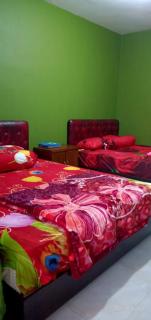 Villa samara 2 homestay Tawangmangu - 0