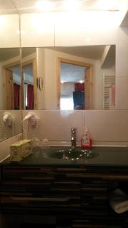 Hotel Hirschen - Menzenschwand - 8