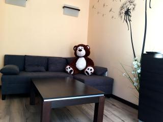 Apartament Przytulny ZETA-PARK - Ustroń - 6