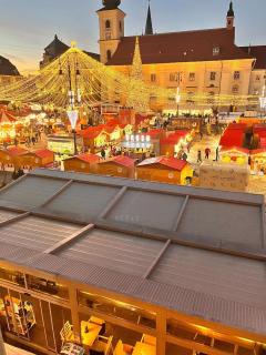 Rabbit Hole - Sibiu - 7