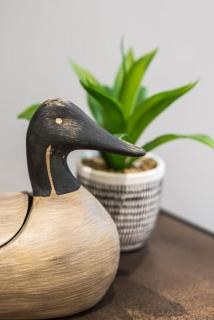 Nelson West- Budget friendly apartment in central Ramsgate - Kent - 1