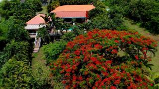 Nature Paradise Pool & Spa - Exceptional Secluded Luxury Location - Le Diamant - 2