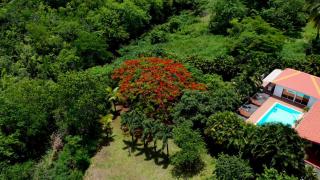 Nature Paradise Pool & Spa - Exceptional Secluded Luxury Location - Le Diamant - 1