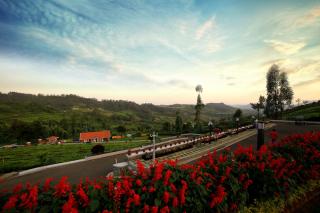 Western Valley Resorts - Ooty - 8