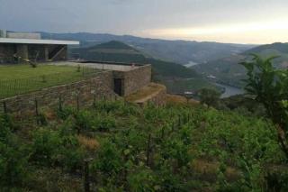 Quinta Vale das Papas - Casal de Loivos - 8