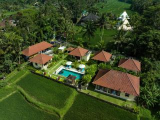 TAMAN EDEN COTTAGE - Ubud - 7