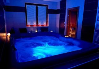 Relaxklub villa s wellness - Třemošná - 0