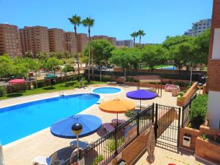 ACV Segunda Linea - 8