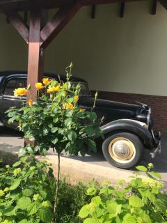 Vila Old Cars - 2