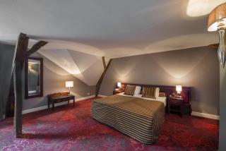 Romantik Hotel Kasteel Daelenbroeck - Herkenbosch - 5