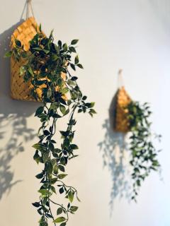 TOP Apartman - Sombor - 2
