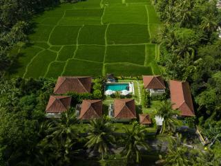 TAMAN EDEN COTTAGE - Ubud - 0