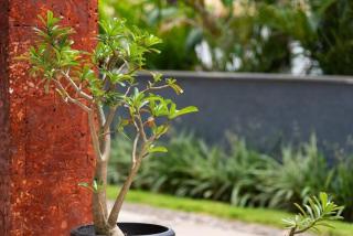 Luxurious Villa with Private Swimming Pool, Kids Pool, Games, Private Parking - 1