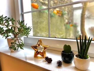 Apartament Na Krzywym Kole - 4