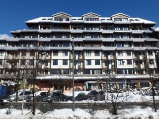Joli appartement à Chamonix avec balcon, WiFi et animaux acceptés - FR-1-343-157 - Chamonix-Mont-Blanc - 9