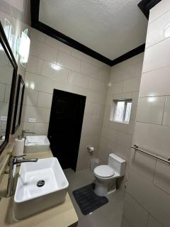 Luxury Living- Modern - Contemporary Home with Brand New Pool in Manor Park - Kingston - 5