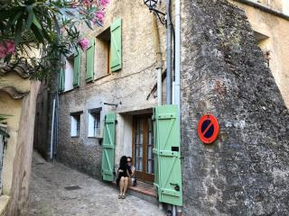 Traditional Provencal Stone House - Entrecasteaux - 9