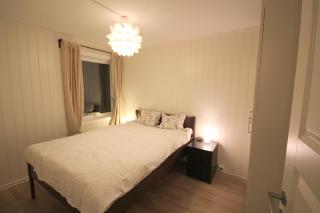 Herøya Porsgrunn Apartment - Porsgrunn - 4