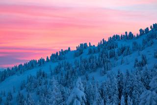 Hotel & Apart Central - 1