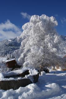 Ferien- und Familienhotel Alpina Adelboden - Adelboden - 9