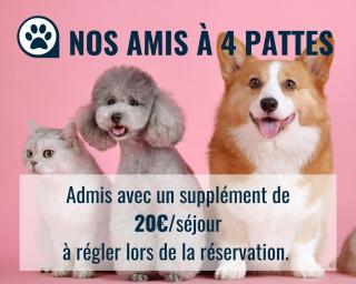 Le Baionarena 4 pers-terrasse-parking-hypercentre - Tarnos - 5