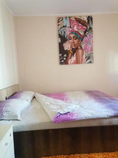 APARTAMENT CENTRAL 2 CAMERE cu CENTRALA - Bukarest - 5