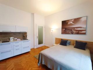 Apartmen -Studio - Prague - 7