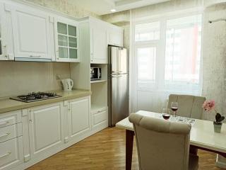 3 комнатная VIP квартира возле метро - 1