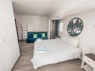 TIKI street side Studio with shared water front terrace at Grand Case - 1