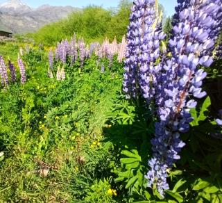 Cabañas LuCes del Pirque - 5