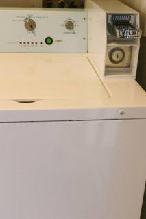 Adorable Ground Level Boho Studio Blocks From Dwntn-C - Tempe - 9