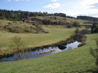 Maison Ancienne au Calme avec Cheminée et Équipements Bébé, Proche de Saugues - FR-1-582-127 - 7