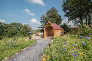 Dol Y Mynydd The Mountain Meadow - Cottage - Llangerniew - 9