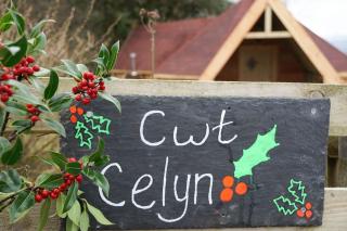 Cwt Celyn Qu7605 - Llangerniew - 4