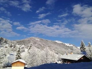 Appartement avec terrasse pour 6 personnes proche pistes à La Clusaz - FR-1-459-199 - La Clusaz - 9