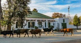 Colonial Karoo Guesthouse - Murraysburg - 6