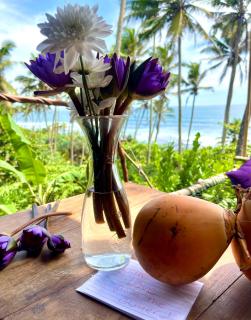 TS2W See More Beach Treehouse - 6