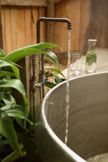 AWAY Treehouse & Forest SPA - Arran Bay - 4