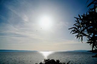 ADRIATIC Luxury Villa - Okrug Gornji - 8