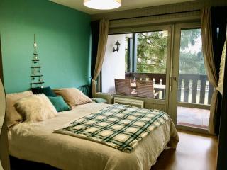 T2 Centre Village - Proximité télécabine - Vue montagne Plein Sud - Terrasse couverte - Balcon - Chambre 1 Lit double en 160 - Salon 1 canapé convertible en 140 - Cuisine séparée - 4