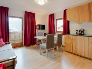 Alpensport Appartement Stubai - Tannenheim - Neustift im Stubaital - 1