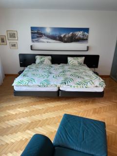 Haus Brunnmatt Zermatt - Zermatt - 8